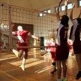 Pisarzowa po raz kolejny najlepsza w siatkówce Pisarzowa po raz kolejny najlepsza w siatkówce