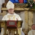 50 lat Zespołu Consonans