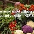 Żywność modyfikowana genetycznie – GMO Żywność modyfikowana genetycznie – GMO