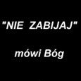 Zabijamy najbardziej bezbronnych – poczytaj…
