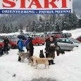 I Dogtrekking FRIKAJ 2013 – relacja z imprezy i wyniki
