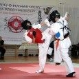 Turniej o Puchar Solny Karate Kyokushin – Wieliczka 8.06.2013 r.